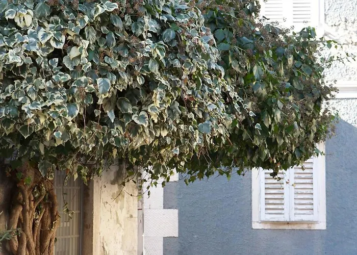 Casa Degrassi - Main Square - Seaview Appartement *